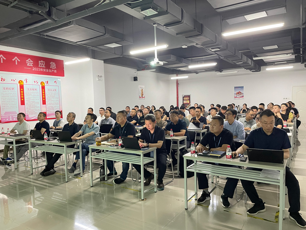 太阳成微电召开2024年上半年销售会议